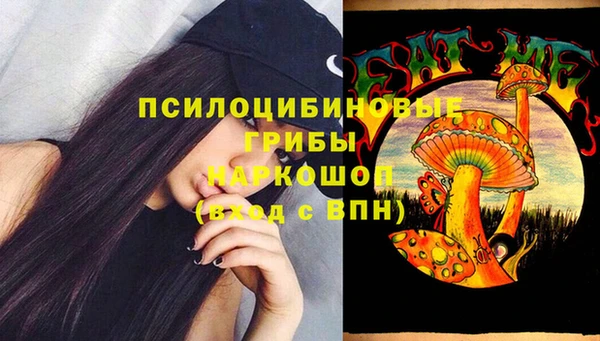 герыч Алзамай