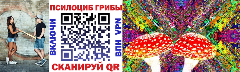 где можно купить наркотик  Нижнеудинск  Галлюциногенные грибы прущие грибы 